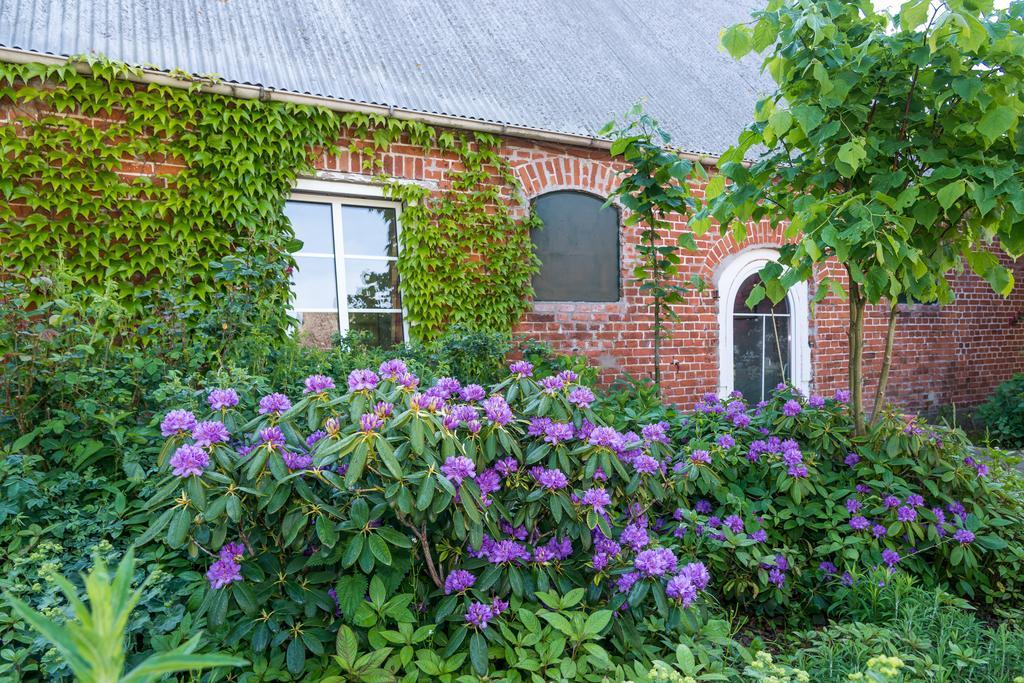 Ferienhof Kolauerhof - Bauernhofurlaub In Grömitz Zewnętrze zdjęcie
