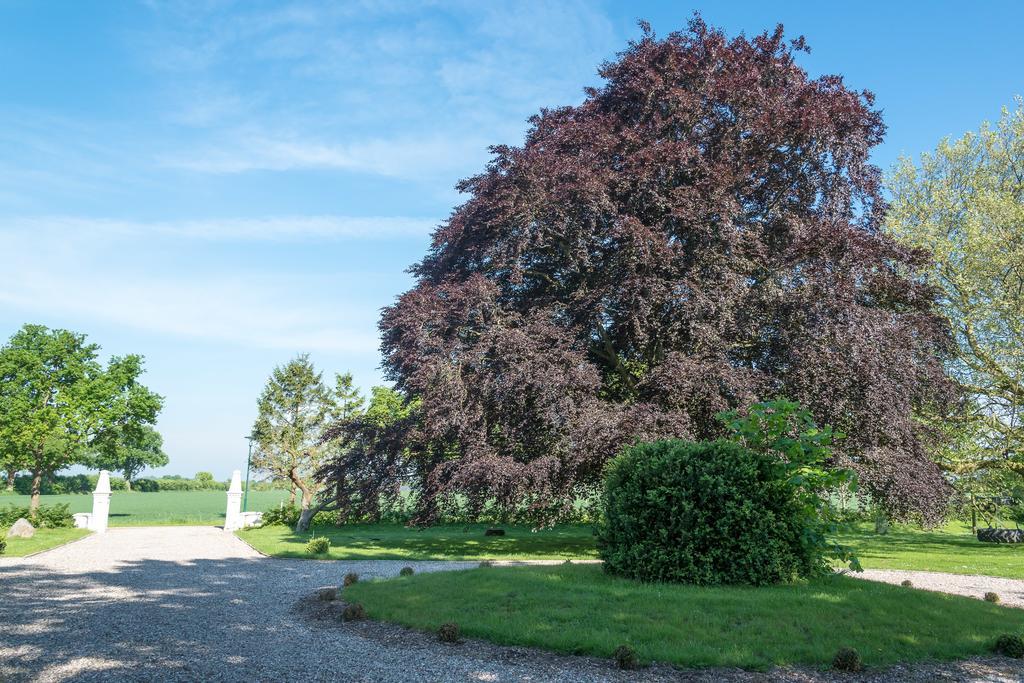 Ferienhof Kolauerhof - Bauernhofurlaub In Grömitz Zewnętrze zdjęcie